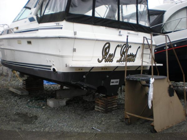 1988 Sea Ray Sundancer 340 - Image 6