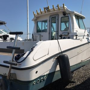 2006 Seaswirl Striper 2901